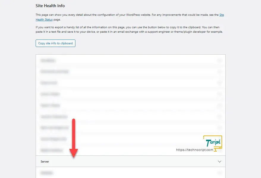 WP Site Health Info Server Section