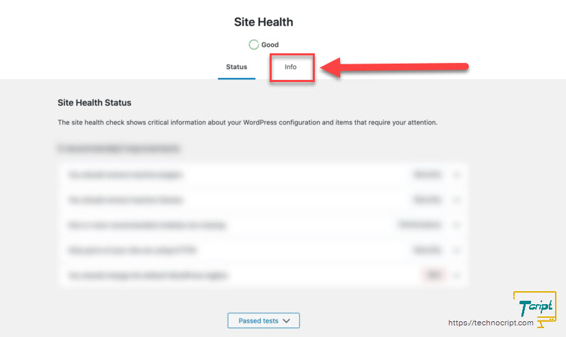 WP Site Health Page Info Tab