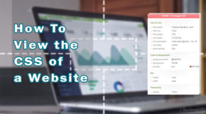 How to See and Extract CSS of a Website [Practical Guide] - Technocript.com